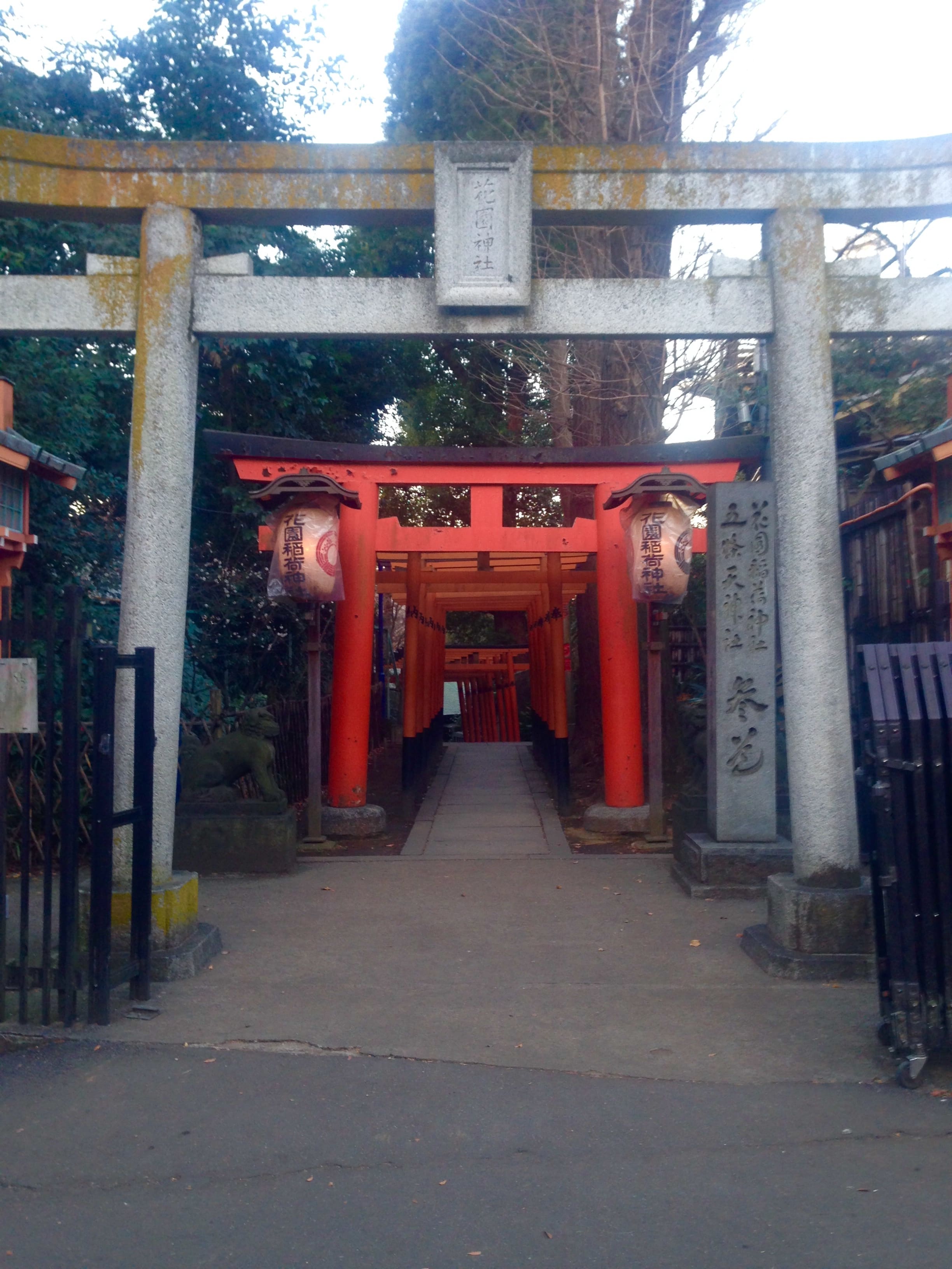 花園神社の鳥居